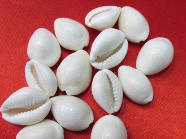 Astro Tips: व्यापार में हानि हो रही हो तो कौड़ियों का करें ये उपाय Astro Tips: व्यापार में हानि हो रही हो तो कौड़ियों का करें ये उपाय