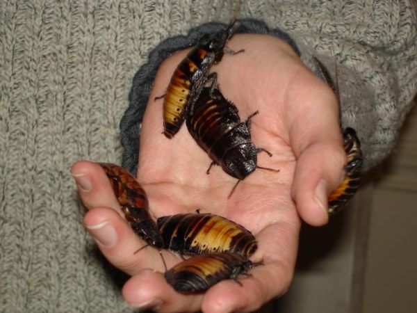 चाइना के एयरपोर्ट की घटना