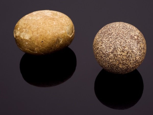 पकाने के लिया काटा तो मिला