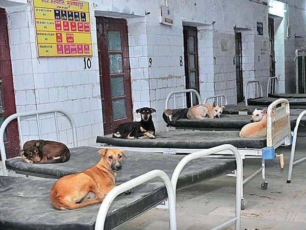 वार्ड में अटेंडेंट नदारद