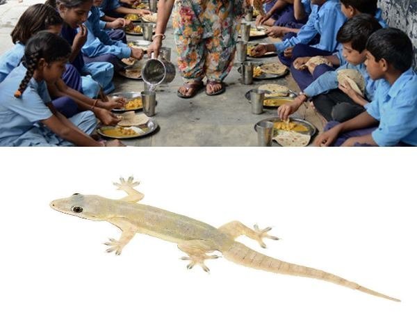 फिर जांच, कार्रवाई और सजा का दिया जा रहा है आश्वासन