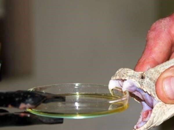 तीन तस्कर गिरफ्तार तीन तस्कर गिरफ्तार