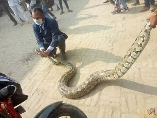 तमाशबीनों की लगी भीड़