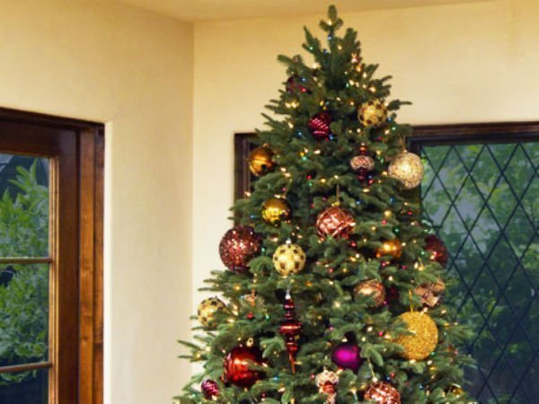 क्रिसमस ट्री