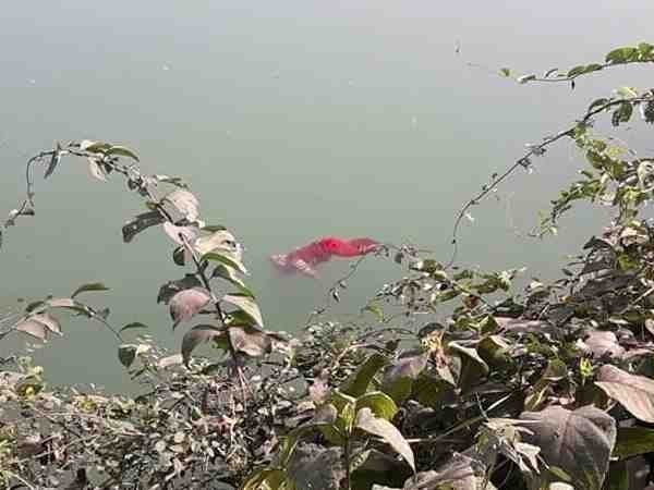 पति के साथ जा रही ससुराल पति के साथ जा रही ससुराल