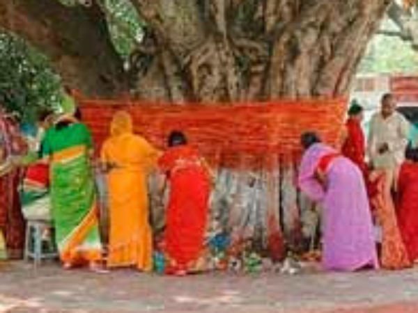 नाग-नागिन की विधिवत पूजा करें