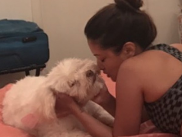 हाल ही में खरीद कर लाए थे कुत्ता