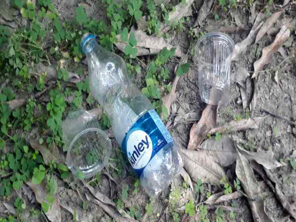 एक शराब की बोतल, चार डिस्पोजल गिलास मिले