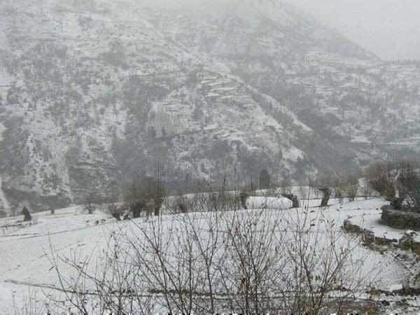 Snowfall stalled many routes in Himachal Pradesh, see Pictures