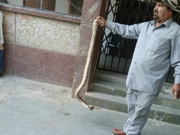 Python in college of Allahabad