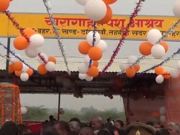 Hardoi DM took help of villagers for Gaushala for cows