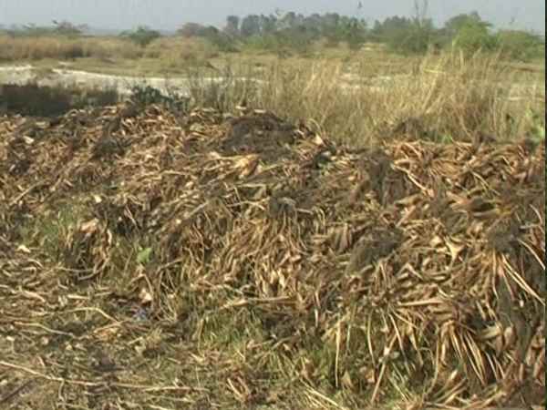 अब नहीं आते पर्यटक