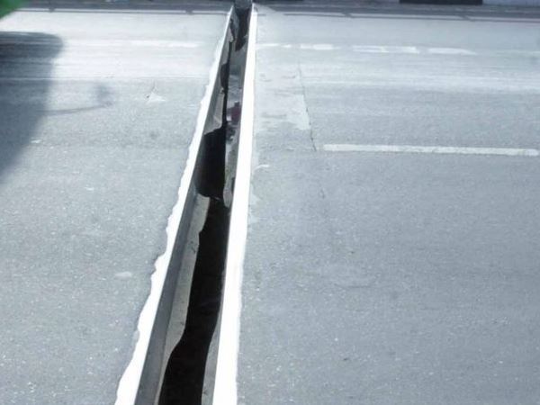 सर्दियों में फैलते हैं गार्डर