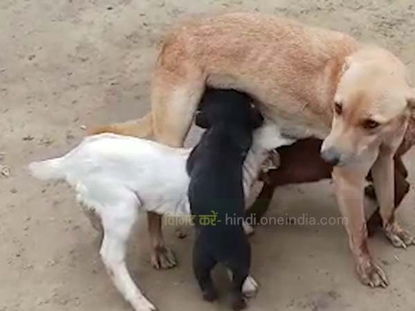 इलाके में चर्चा का विषय