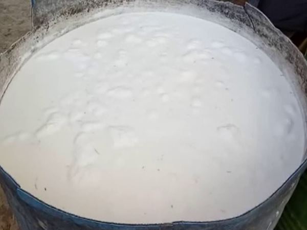 हजारों लीटर दूध नष्ट किया