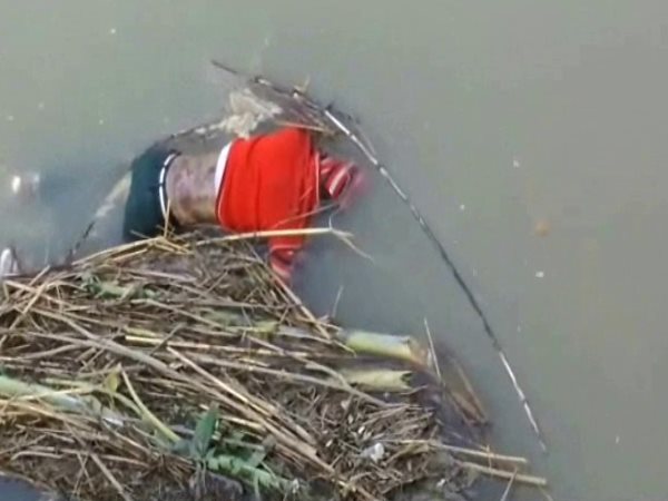 सोशल मीडिया पर वायरल हुआ वीडियो