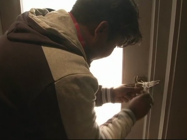 अवैध निर्माण को गिराय जाएगा अवैध निर्माण को गिराय जाएगा