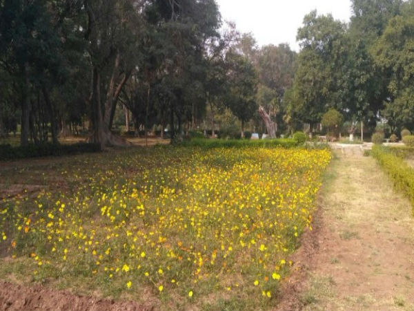  केवल शादीशुदा कपल को मिलेगी एंट्री