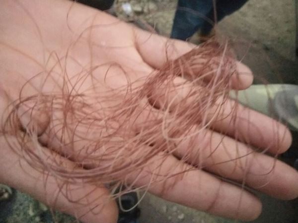 पिछले साल भी हुआ था ऐसा हादसा