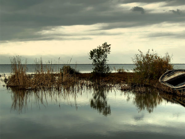 लकड़हारे ने सच बोला 