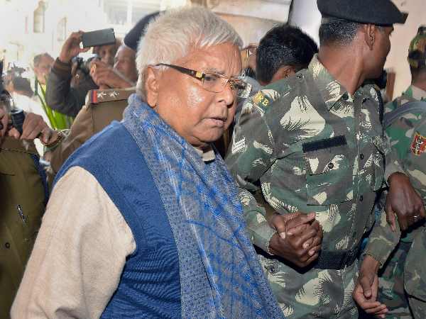 जज ने कहा, खुली जेल में गौपालन करें