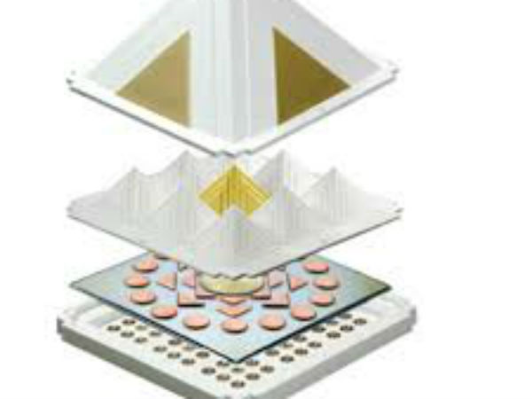  शरीर में स्फूर्ति बनी रहती है... 