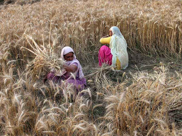 न्यूनतम कीमत को बढ़ाया जाए