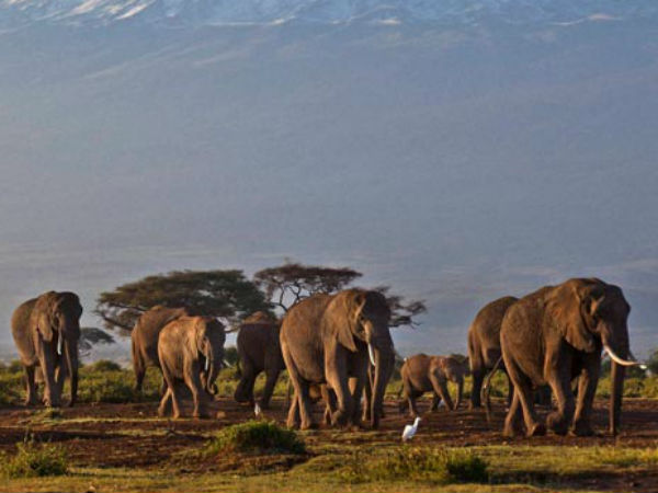 कोशिश करना ही छोड़ देते हैं...