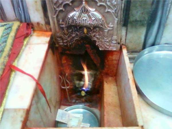 करीब 22 करोड़ का हुआ है घोटाला