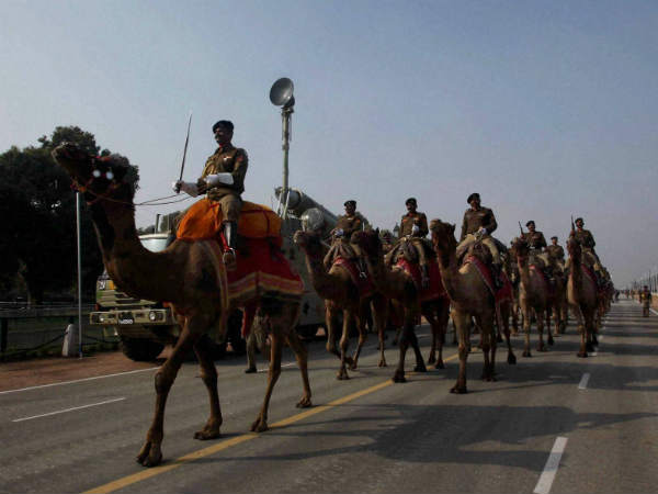 ऊंटों का दल