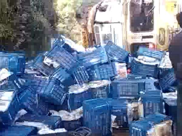 Six people killed on spot when truck overturned on car in Agra