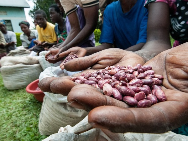 वैज्ञानिकों ने दी चेतावनी वैज्ञानिकों ने दी चेतावनी