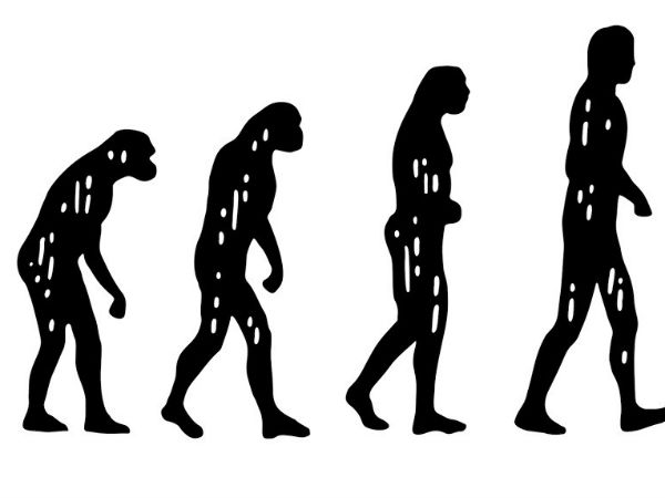  वैज्ञानिकों ने मंत्री के ऊपर नाराजगी जताई 