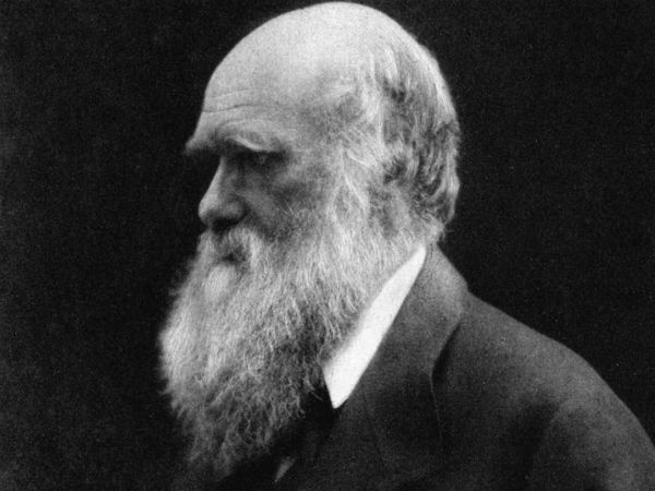 दुखी और चितिंत वैज्ञानिक