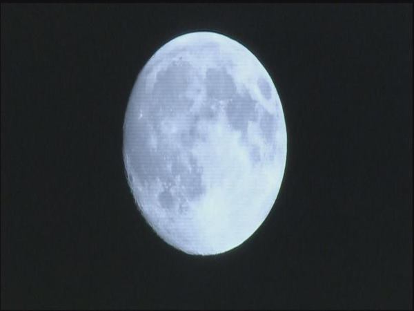 इनाम किसी को नहीं मिल पाएगा इनाम किसी को नहीं मिल पाएगा