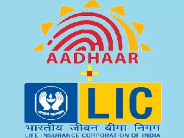 वेब पोर्टल की नई डिजाइन में आधार जरूरी वेब पोर्टल की नई डिजाइन में आधार जरूरी