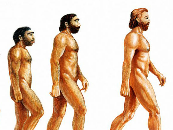 क्या है चार्ल्स डार्विन का सिद्धांत? 