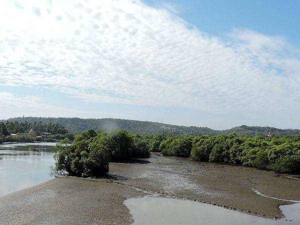 महानयी नदी महानयी नदी