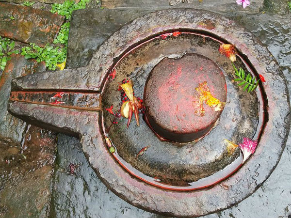 आपके पास कोई रोग नहीं आएंगे...