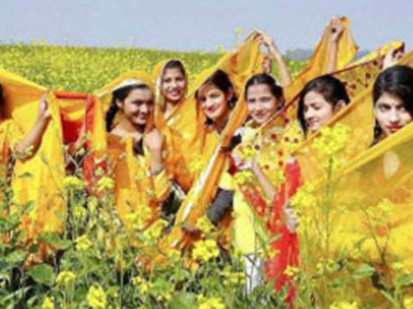  रुत आ गई रे रुत छा गई रे, पीली-पीली सरसों फूले