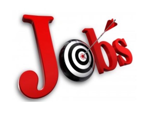 परफेक्ट जॉब परफेक्ट जॉब