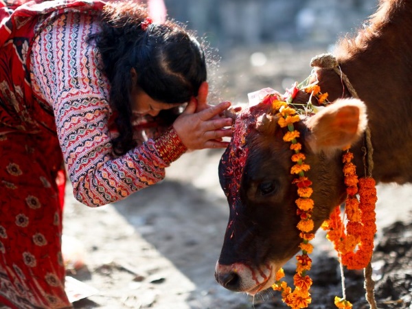 गाय ऐसे बन गई माता
