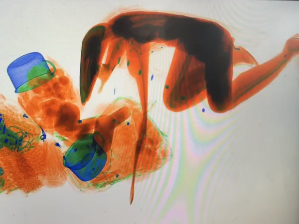 तस्वीरें देख अधिकारी भी रह गए हैरान