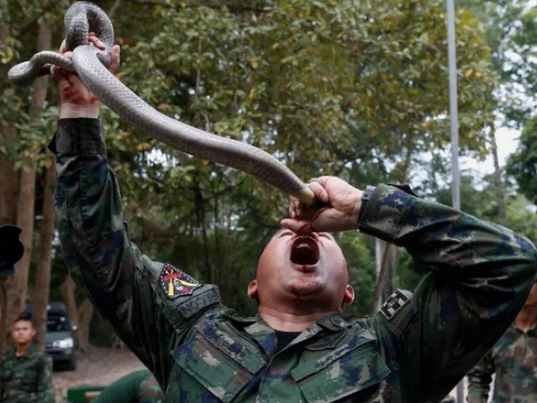 थाईलैंड में हो रही है ये खतरनाक ट्रेनिंग