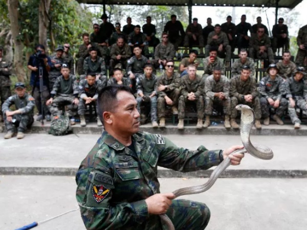 खुशी-खुशी पीते हैं कोबरा का खून