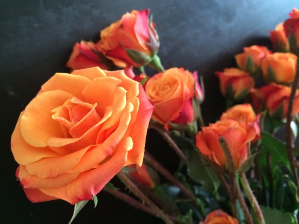 उत्साह और जुनून का रंग है नारंगी