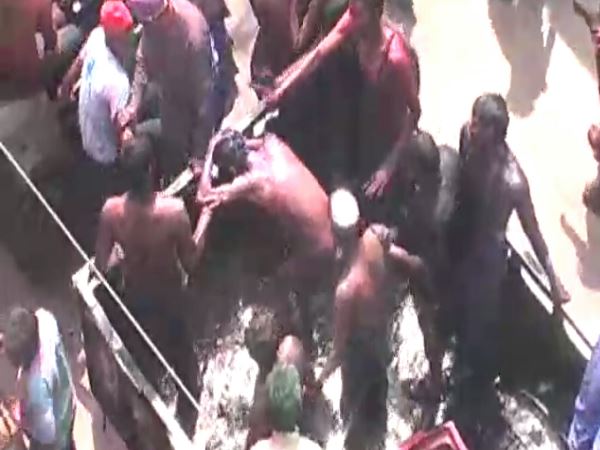 बेहद निराली है होली मनाने की ये परंपरा