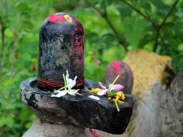 शिवजी का अभिषेक करें