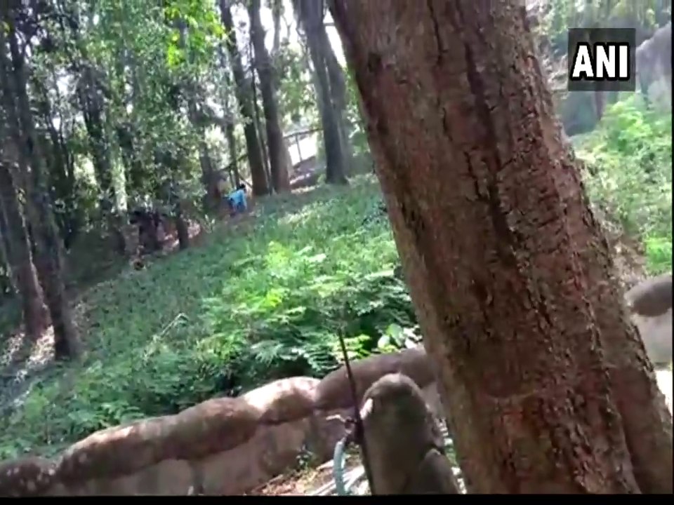 जू कर्मियों ने आरोपी शख्स को पुलिस के हवाले कर दिया जू कर्मियों ने आरोपी शख्स को पुलिस के हवाले कर दिया