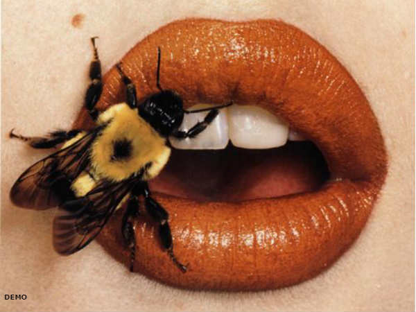 दो साल पहले का है मामला दो साल पहले का है मामला